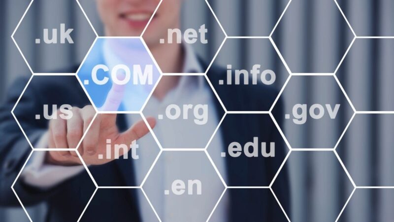 diferentes dominios web