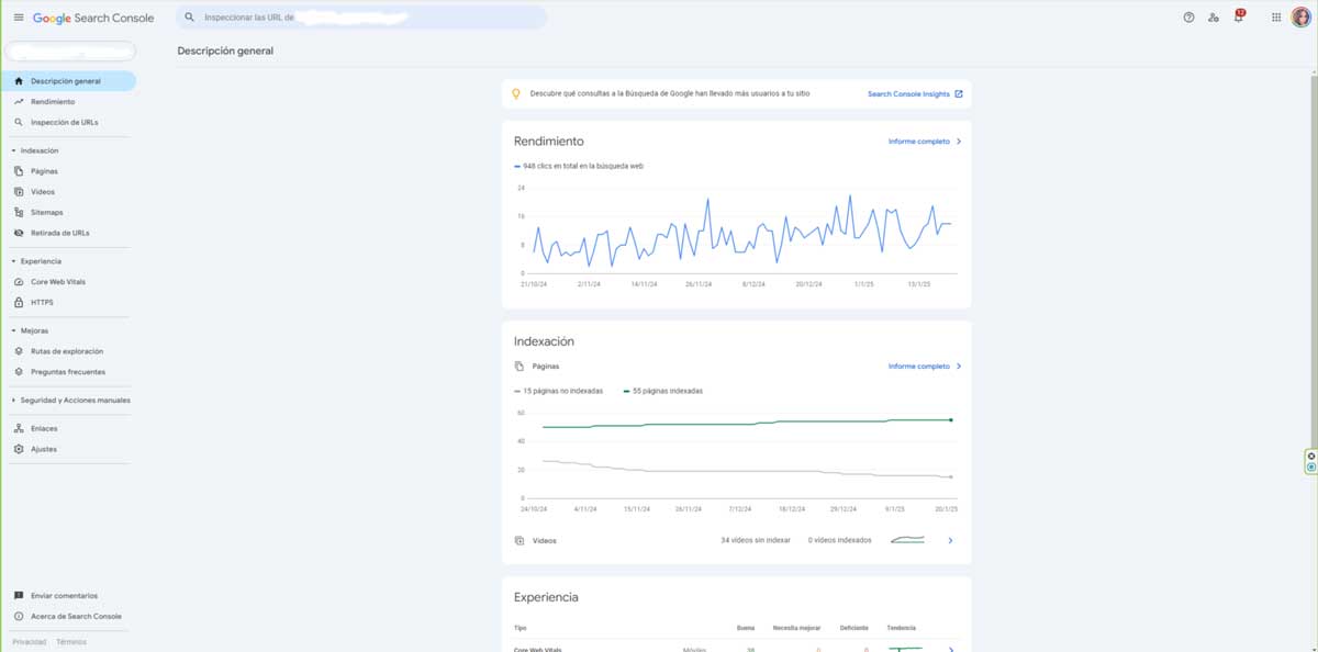 screenshot google search console