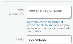 seo onpage en el texto alternativo de la imagen