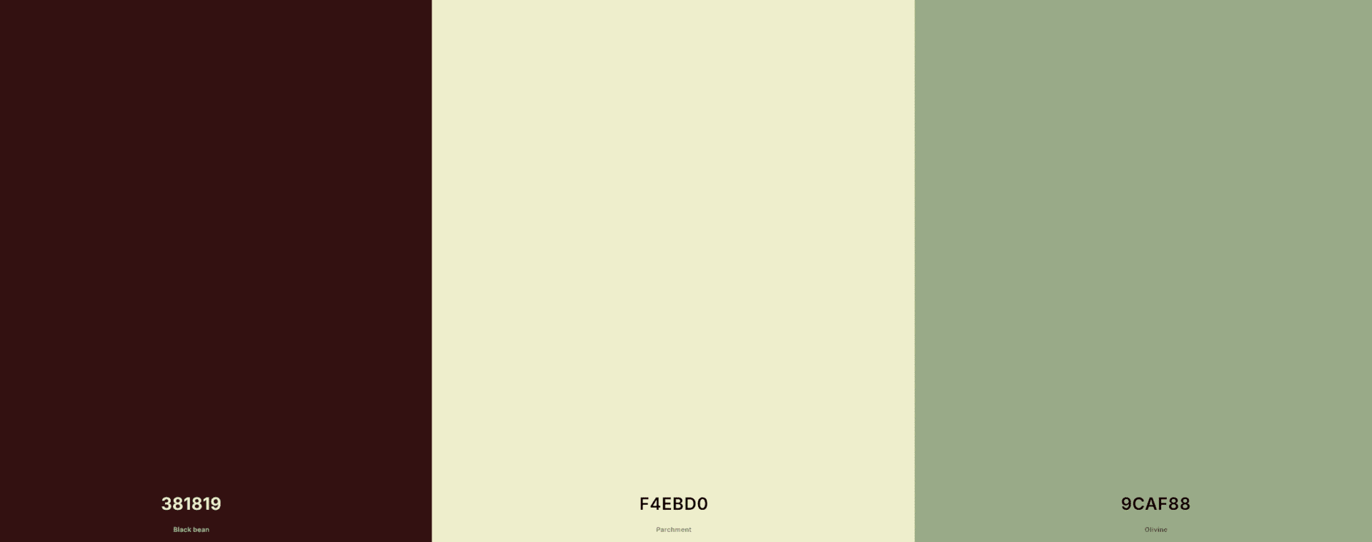 combinación de colores para web