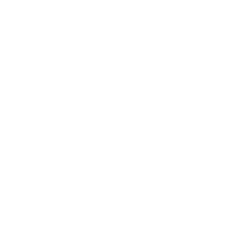 seo local
